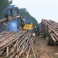The Impact of Agriculture on the Economy of North Central Georgia