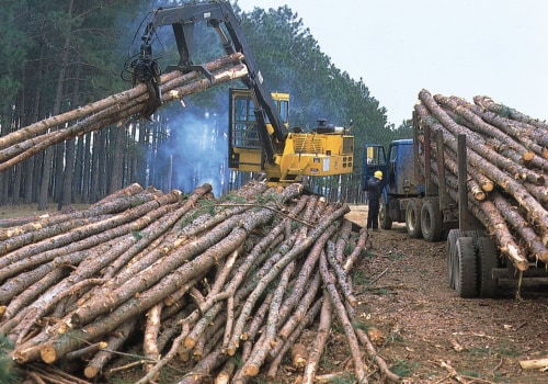 The Impact of Agriculture on the Economy of North Central Georgia