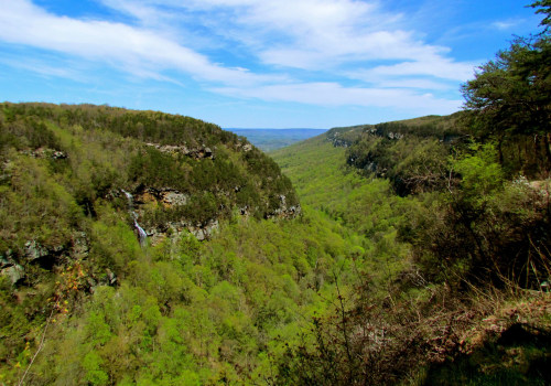 The Thriving Economy of North Central Georgia